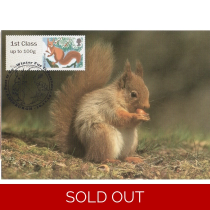 3778x3 Red Squirrel Maximum Card